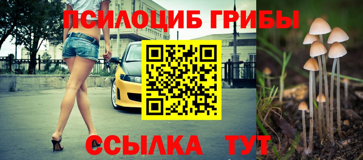 Михайловка  Галлюциногенные грибы ЛСД  Вход с VPN 